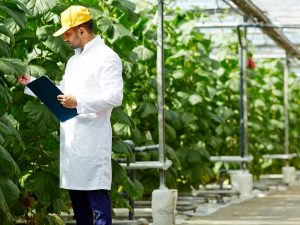 TECNOLOGÍA EN GESTIÓN DE EMPRESAS AGROPECUARIAS