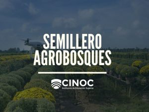 Semillero Investigación en Agrobosques
