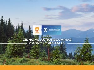 bosque, forest, investigacion