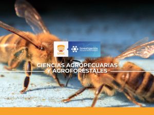 COLMENAS MIXTAS PARA POTENCIAR MUTUALISMO EN EXPLOTACIONES DE ABEJAS AFRICANIZADAS Apis mellifera Y ABEJAS MELIPONAS