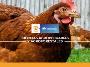 CONCENTRADO AGROECOLÓGICO A BASE DE PLANTAS MEDICINALES Y FORRAJE VERDE HIDROPÓNICO PARA GALLINAS PONEDORAS