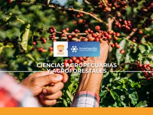 cafe, estudiantes, estudent, investigacion