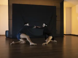 La cultura en la IES