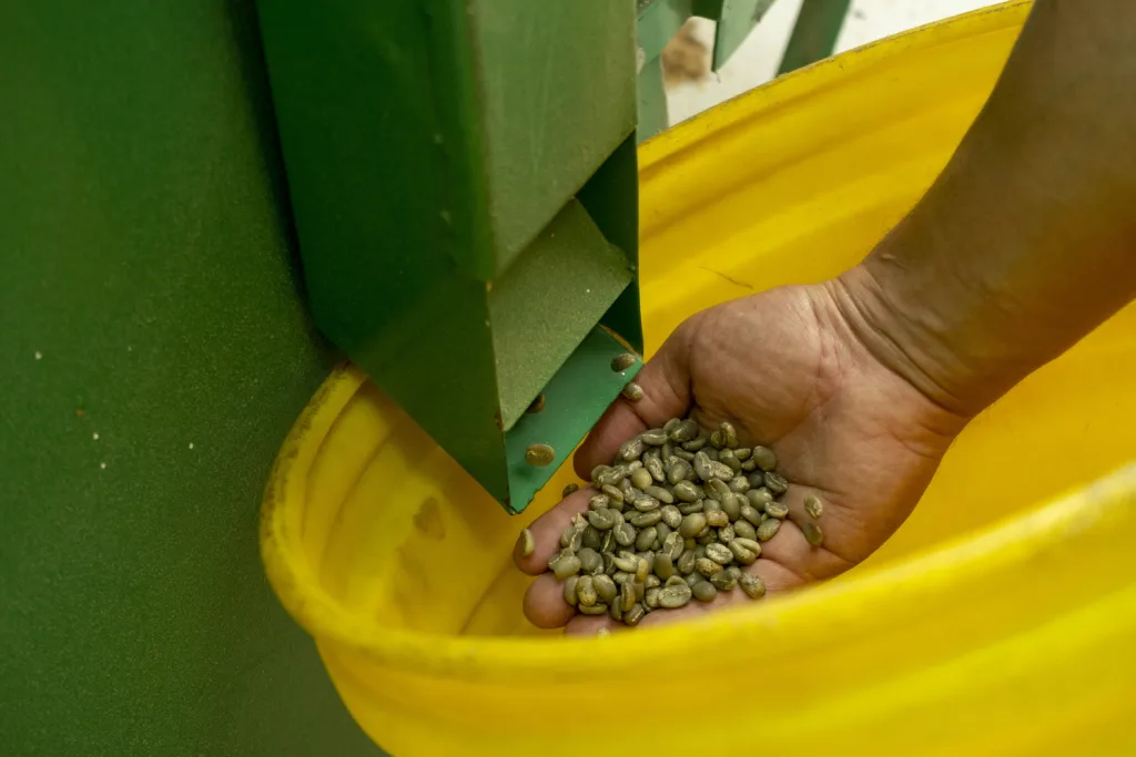 Ciencia Aplicada al Café