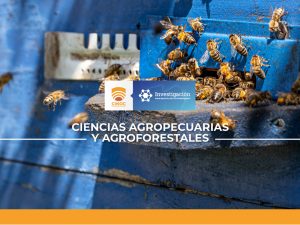 EFECTIVIDAD DE NIDOS TRAMPA PARA CAPTURA DE ABEJAS NATIVAS SIN AGUIJÓN EN DIVERSAS COBERTURAS VEGETALES