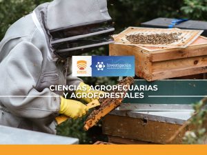 honey, bee, abejas, investigacion