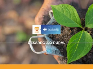 Planta, investigación, semilleros