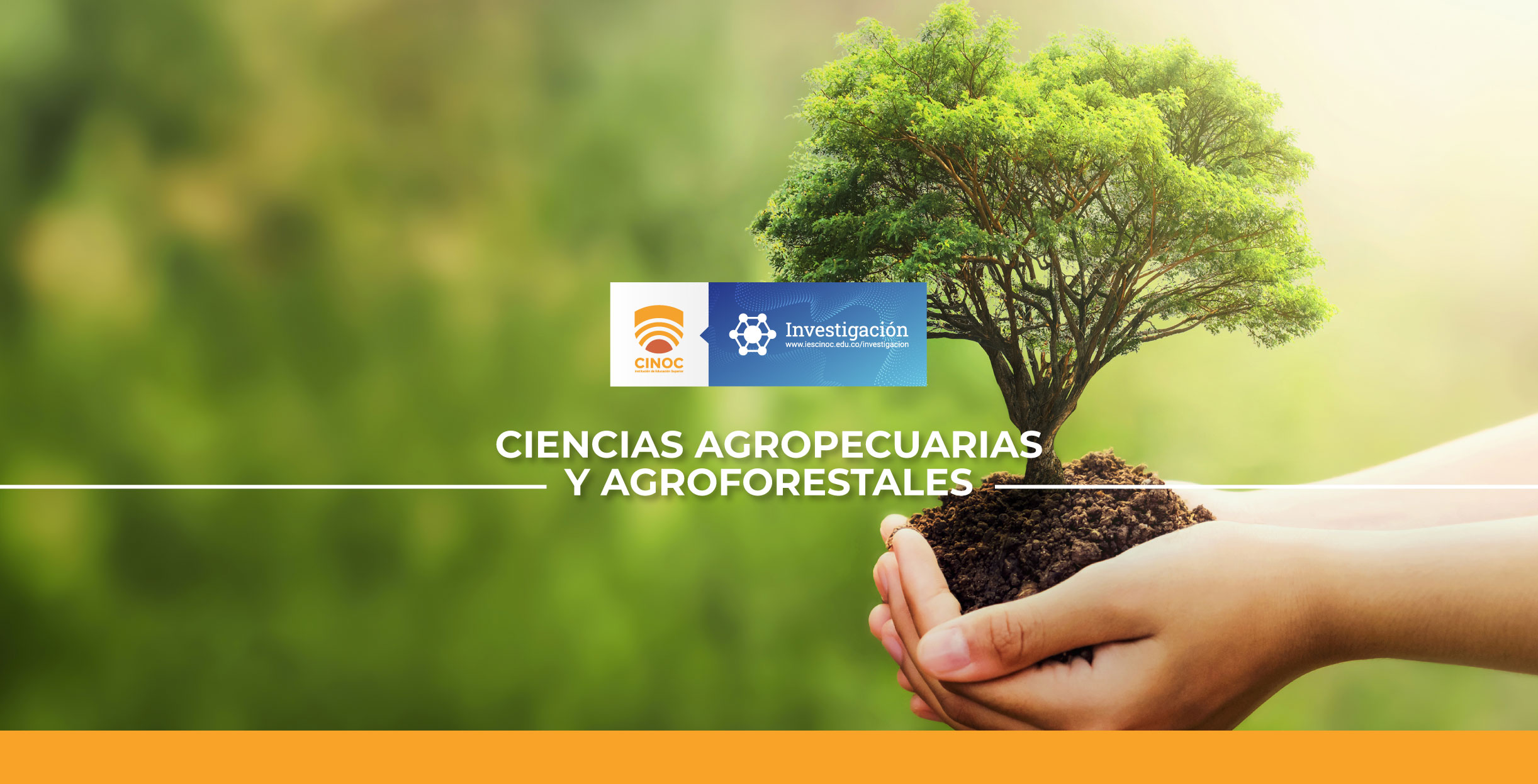 planta, investigación, cinoc,ies