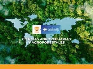 MEDIOS DE DESARROLLO LIMPIO QUE PUEDEN IMPLEMENTARSE UTILIZANDO LA ESTRATEGIA “BOSQUES TERRITORIO DE VIDA”