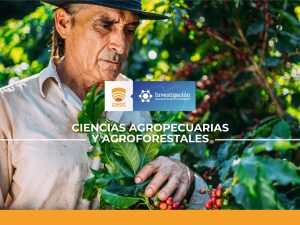PLAGAS QUE AFECTAN AL CAFÉ (VEREDAS LAS BRISAS Y PATIO BONITO) Y COMO LAS CONTROLAN