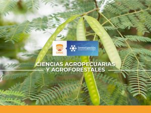 RECONOCIMIENTO DE PLANTAS TRADICIONALES MEDICINALES EN SISTEMAS PRODUCTIVOS RECONVERTIDOS EN EL MUNICIPIO DE MANZANARES CALDAS