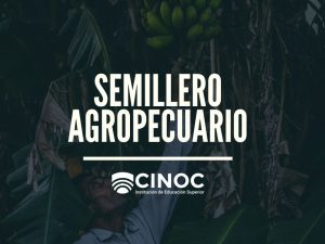 Semillero Investigación Agropecuario