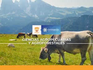 vaca,cow.bovino,investigacion