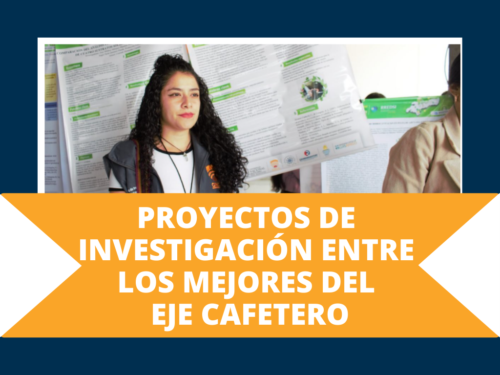 Pasantía, EDUCACIÓN SUPERIOR