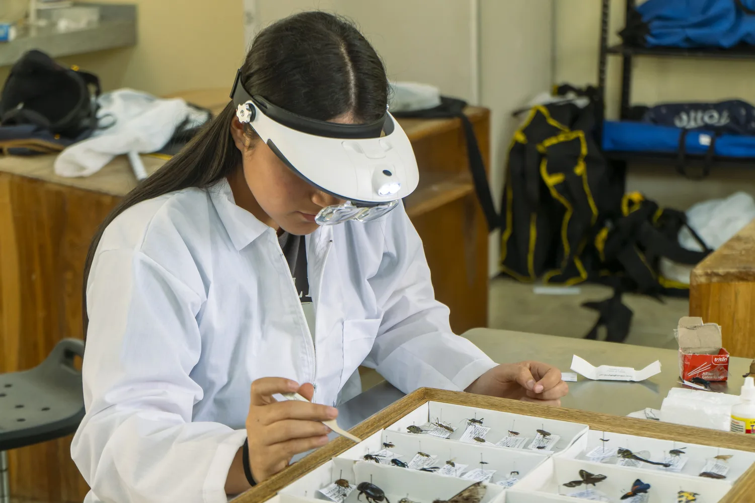 estudiantes ies cinoc investigacion laboratiorios forestal