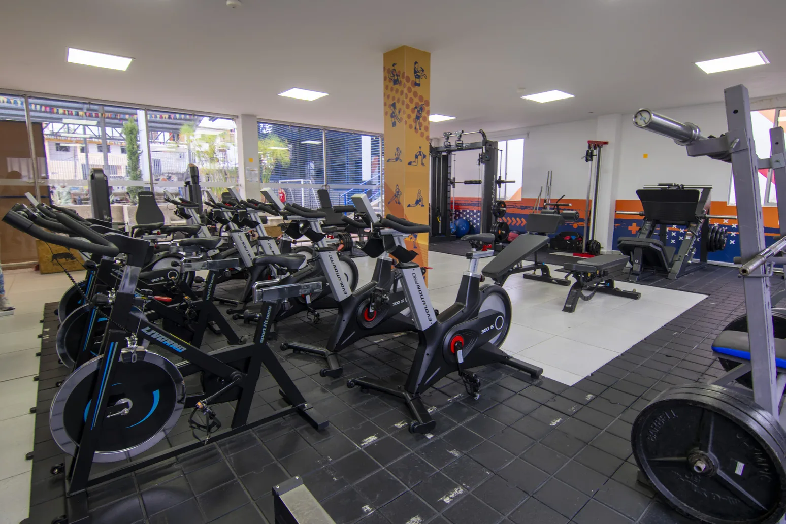 Gimnasio - Imagen 3