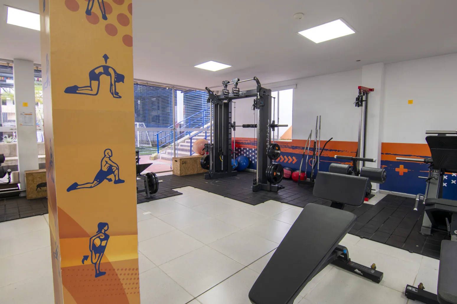 Gimnasio - Imagen 2