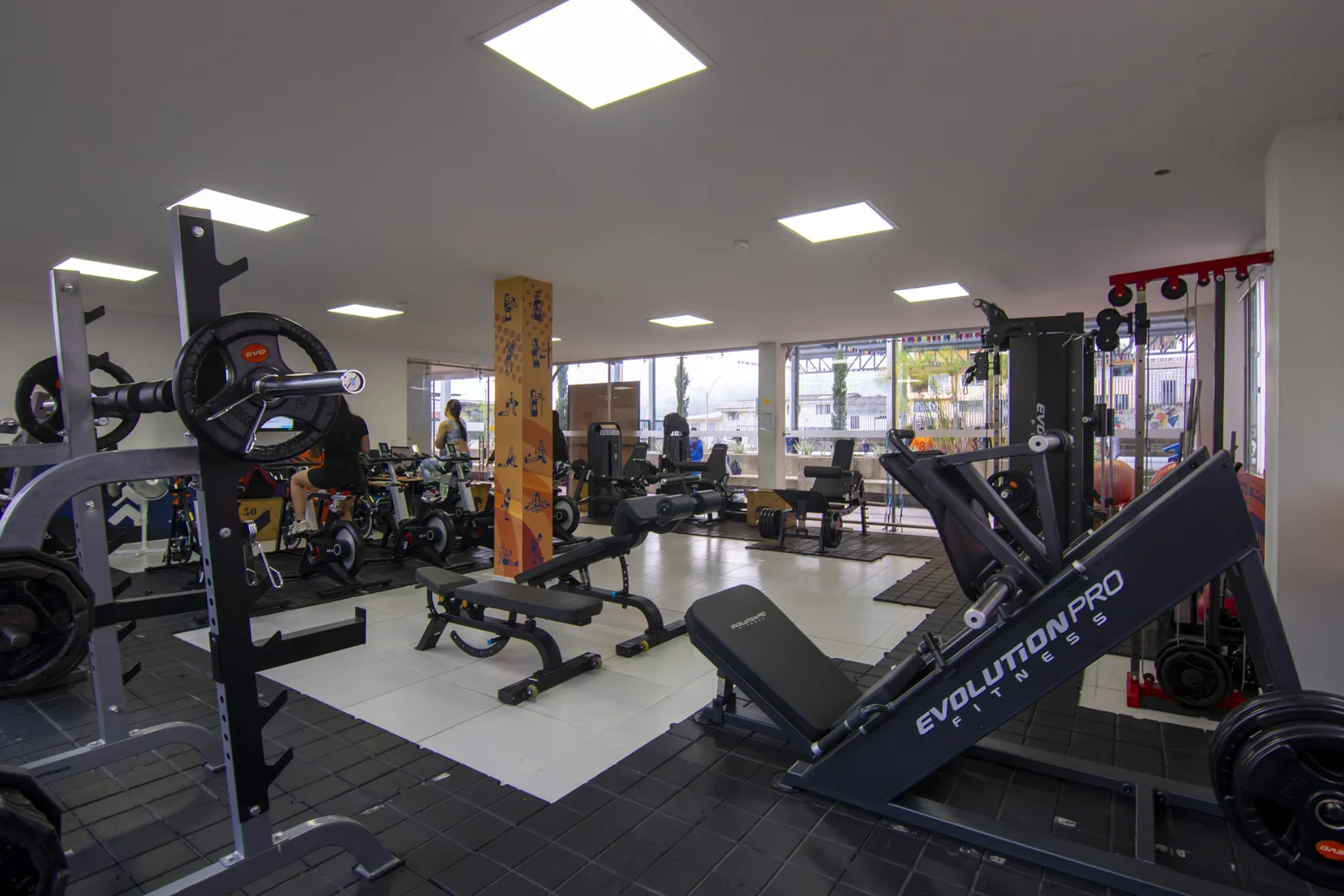 Gimnasio