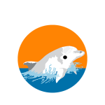 Pasantía, EDUCACIÓN SUPERIOR