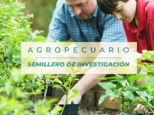 COMPARACIÓN DEL ANÁLISIS FÍSICO-QUÍMICO DE LAS ENMIENDAS ORGÁNICAS DE CUATRO SUSTRATOS SÓLIDOS DE ABONOS ORGÁNICOS