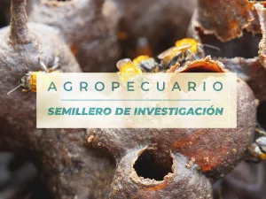 Fortalecimiento de la meliponiculturadesde la investigación, educación, conservación y emprendimiento e innovación en la región del Oriente Caldense
