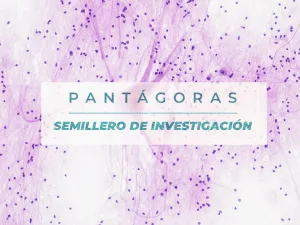 Estrategia de mejoramiento de los procesos educativos a través del desarrollo de proceso neuroeducativos aplicado a los estudiantes de la IES CINOC con problemáticas de aprendizaje