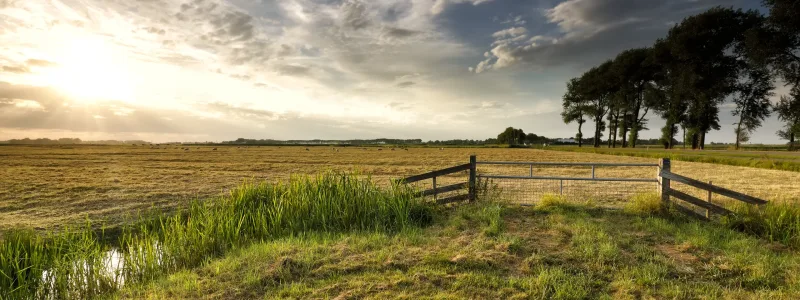 sunlight over Dutch farmland in summer, Netherlands